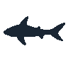 legendarycatch 2541 chimaera sil