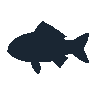 legendarycatch 2543 black crappie sil