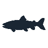 legendarycatch 2544 coho salmon sil