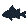 legendarycatch 2548 mangrove snapper sil