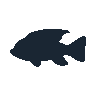 legendarycatch 2550 frontosa sil