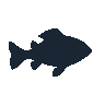 legendarycatch 2551 firemouth cichlid sil