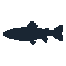 legendarycatch 2553 cutthroat trout sil