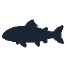 legendarycatch 2554 pink salmon sil