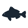 legendarycatch 2555 black grouper sil