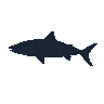 legendarycatch 2556 wahoo sil