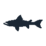 legendarycatch 2559 tigerfish sil