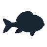 legendarycatch 2561 powder blue tang sil