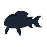 legendarycatch 2563 blue catfish sil