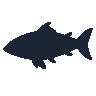 legendarycatch 2564 buffalo fish sil