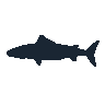 legendarycatch 2565 cero mackerel sil
