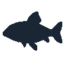 legendarycatch 2566 picasso triggerfish sil