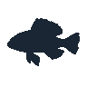 legendarycatch 2567 jack dempsey sil