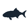 legendarycatch 2568 pompano sil