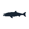legendarycatch 2570 lamprey sil