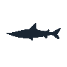 legendarycatch 2571 guitarfish sil