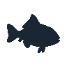 legendarycatch 2574 barrel eye fish sil