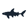 legendarycatch 2575 frilled shark sil
