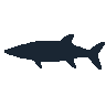 legendarycatch 2576 cutlassfish sil