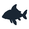 legendarycatch 2583 wobbegong sil