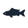 legendarycatch 2600 cleaner wrasse sil