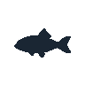 legendarycatch 2580 firefish goby sil