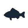 legendarycatch 2582 redear sunfish sil