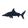 legendarycatch 2586 barracuda sil