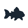 legendarycatch 2589 cookiecutter shark sil
