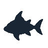 legendarycatch 2590 clown triggerfish sil