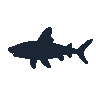legendarycatch 2591 horn shark sil