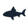 legendarycatch 2594 electric ray sil