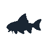 legendarycatch 2603 white catfish sil