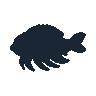 legendarycatch 2604 cuttlefish sil