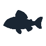 legendarycatch 2606 red grouper sil