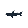 legendarycatch 2607 hammerhead shark sil