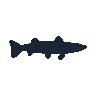 legendarycatch 2609 northern pike sil