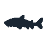 legendarycatch 2611 sturgeon sil