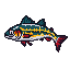 legendarycatch 2720 mjolnir
