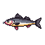 legendarycatch 2732 infinity loop