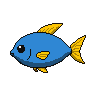 legendarycatch 2868 damselfish