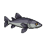 legendarycatch 2882 conger eel