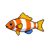 legendarycatch 2883 regal angelfish