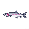 legendarycatch 2892 steelhead