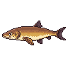 legendarycatch 2904 european eel