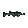 legendarycatch 2922 northern pike