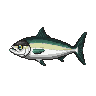legendarycatch 2933 jack crevalle