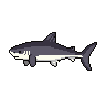 legendarycatch 2941 reef shark