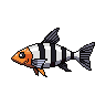 legendarycatch 2945 bangaii cardinalfish