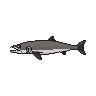legendarycatch 2953 lamprey
